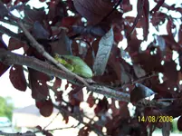 100_8472.webp