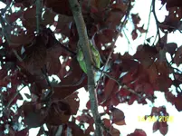 100_8476.webp