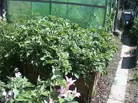 DSC00006.webp