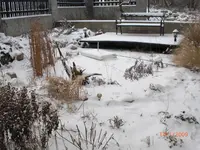 CIMG0334.webp