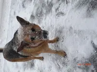 CIMG0332.webp