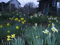 garten 3-08 004.webp