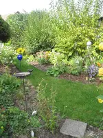 garten 009.webp