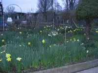 garten 3-08 002.webp