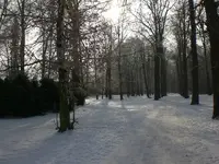 Garten Januar 2009 003.webp
