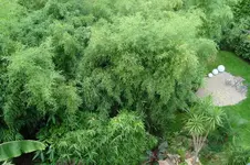 DSC00463.webp