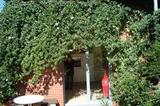 DSC00531.webp