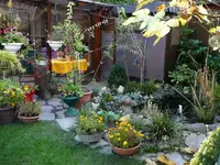 przed stawem.webp