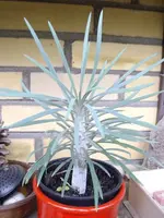 IMGP0162.webp