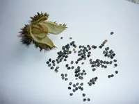 Kopie von P1000253.webp