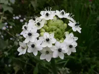 PICT0116.webp