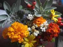 IMG_5856.jpg