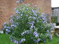 DSC02098.webp