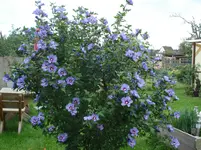 DSC02099.webp
