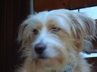 2010 10 09 152.webp
