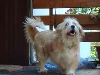 2010 10 09 056.webp