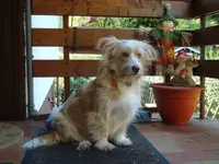 2010 10 09 117.webp