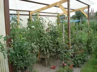 DSC02102.webp
