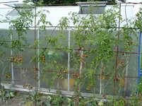 DSC02104.webp
