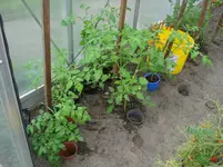 DSC02111.webp