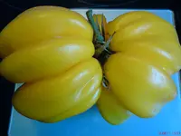 DSC01209.webp