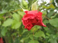 IMG_5862.webp