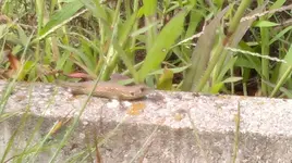 14082011221_2.webp