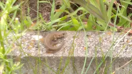 14082011195_1.webp