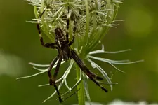 14.8.11 (38 von 77).webp
