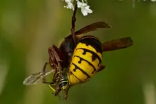 14.8.11 (73 von 77).webp