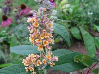 IMG_6512_1067x800.webp
