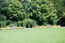 DSC_0010.webp
