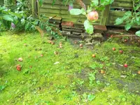 100_0028.webp