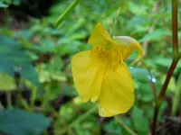 047.webp