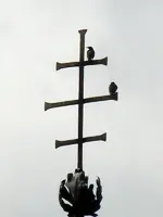 StareKrähe15-08-2011-021.webp