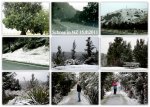 Copy of Schnee in NZ 15.8.2011.jpg