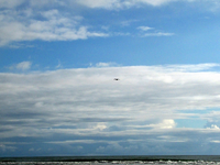 tn_Copy of IMG_5092 v.webp