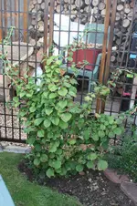 IMG_1722.webp