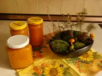 Foto0631.webp