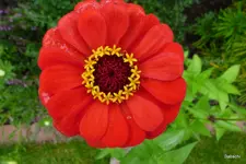 P1060220.webp