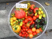 BILD0151.webp