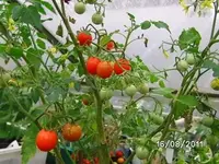 BILD0147.webp