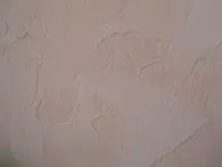 DSCN0921.webp