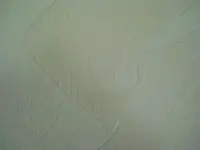 DSCN0922.webp
