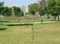 DSCF5904.webp
