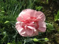IMG_6543_1067x800.webp