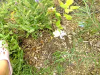 DSCF1145.webp