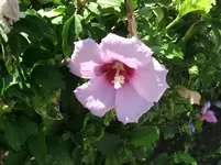 DSCF5908.webp