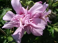 DSCF5909.webp