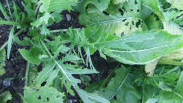 DSCF8902.webp